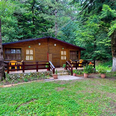 Uji I Panjes Llogara Vlorë Exterior foto
