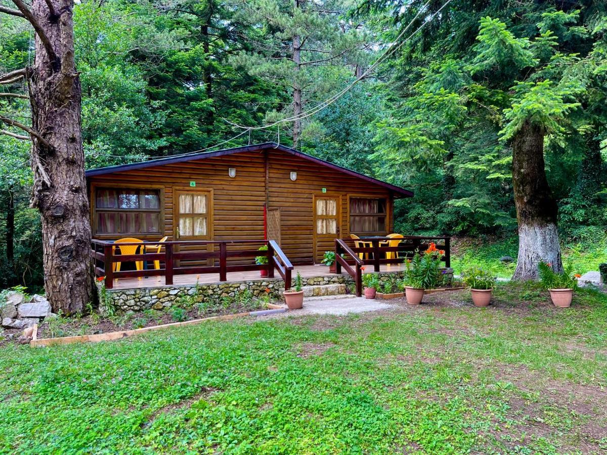 Uji I Panjes Llogara Vlorë Exterior foto